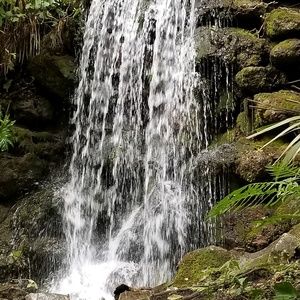 Meet your Posher, Rex